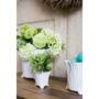 product-268424-1786719970-ACC01-0001209^2